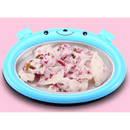 ICE CREAM ROLL Plate