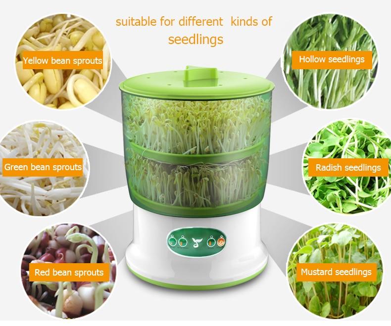 2021 New Bean Sprouts Machine