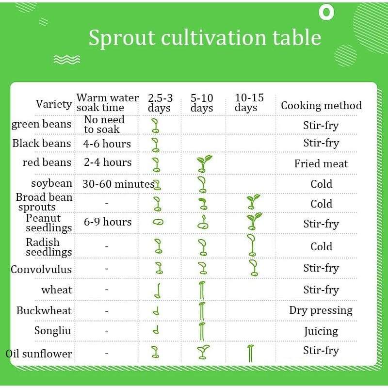 2021 New Bean Sprouts Machine