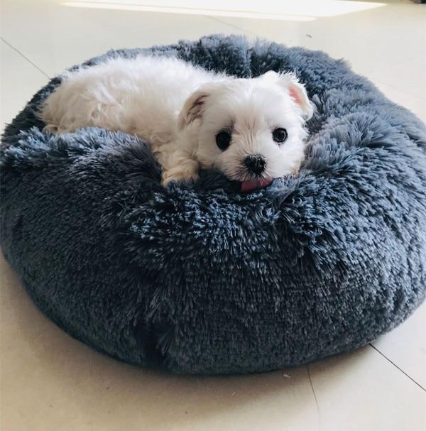 Cama para Gato e Cachorro de Veludo