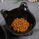 Comedouro Elevado para gatos Ortopédico
