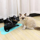 Comedouro Elevado para gatos Ortopédico