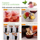 FROZEN FRUITS ICE CREAM & YOGURT MAKER