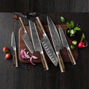 Japanese Professional Kitchen Knives Set
