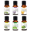 Kit com 6 óleos essenciais 100% puro e natural (10ml cada)