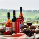 Smart Electric Wine Aerator Decanter
