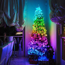 SMART PISCA-PISCA NATAL ENCANTADO