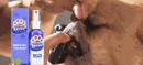 Spray Bom Hálito para Pets