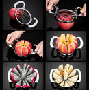 Stainless Steel Apple Slicer