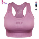 Top WeFit